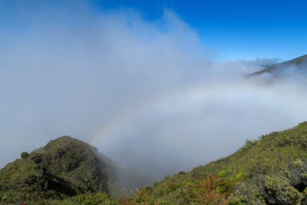 When have you seen a rainbow in a cloud below you?