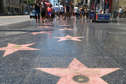 Donald Trump's somewhat more "seasoned" Hall of Fame star